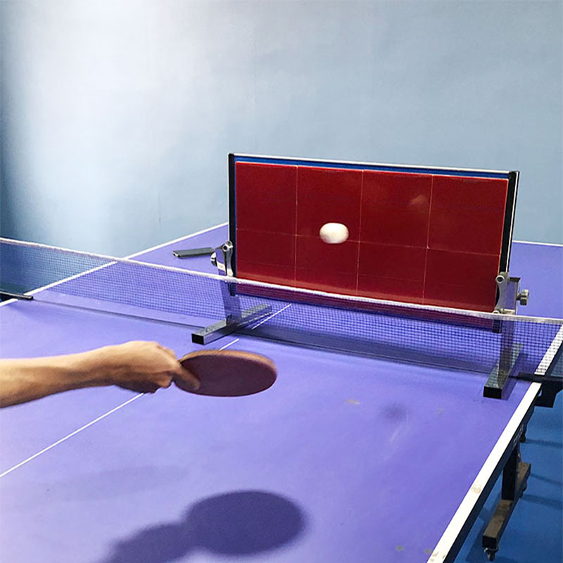 Home Table Tennis Rebound Boar - Ping Pong Ball Set ulasan dan harga
